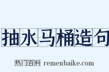 抽水马桶造句是什么意思的图片